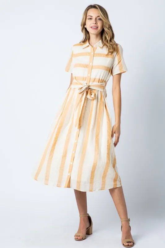 Alyssa Classy Collared Dress in Burnt Peach