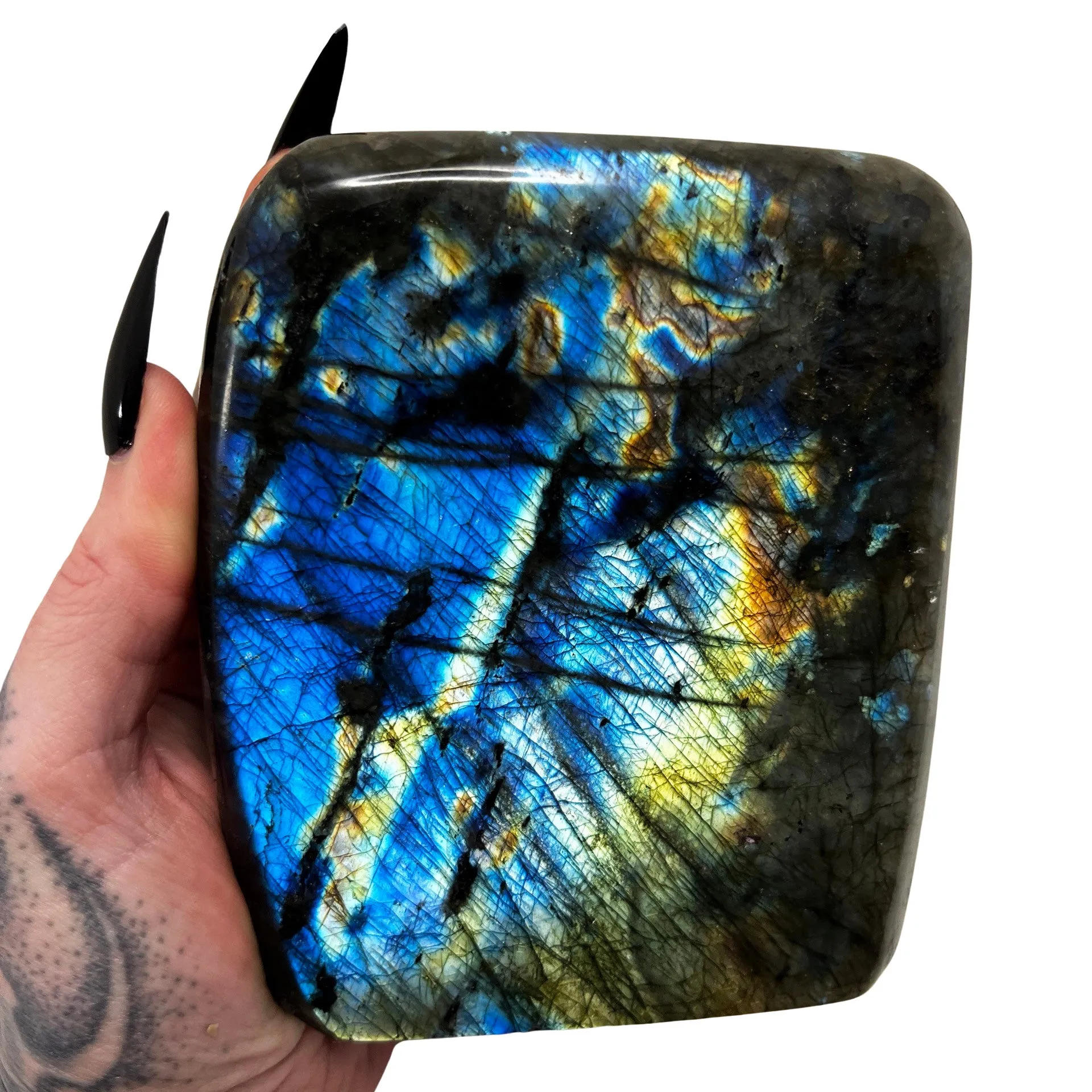 Labradorite Freeform 8 *free shipping*