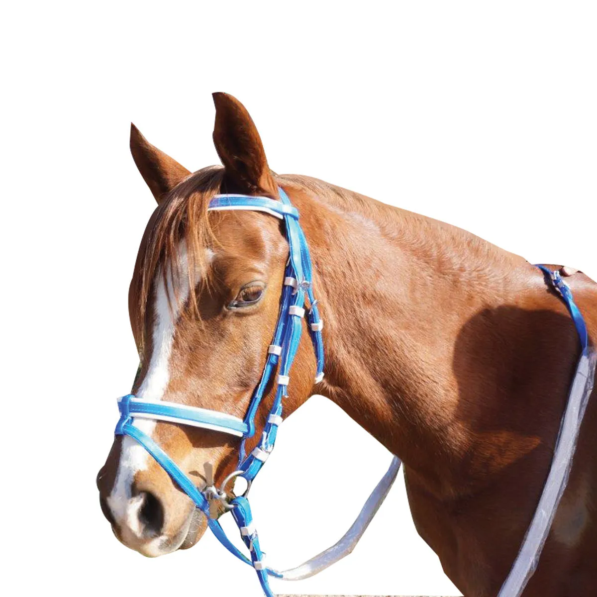 PVC Eventing Bridle